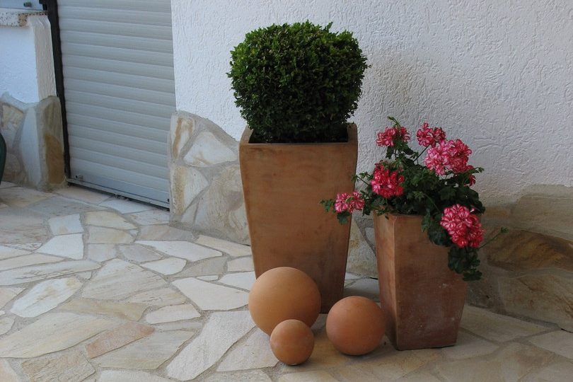 Zwei Pflanzkübel mit einem Busch und rosa Blumen, daneben drei terrakottafarbene Kugeln.