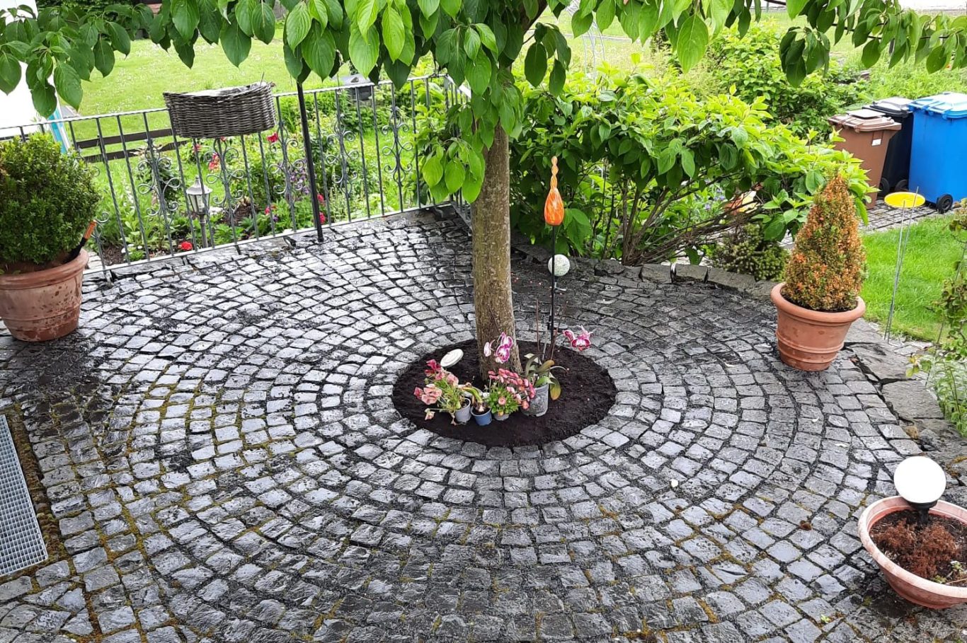 Kreisförmige Basaltsteinverlegung um einen Baum, umgeben von Blumen und Pflanzen in Töpfen.