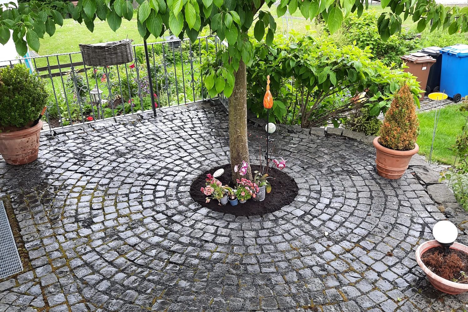 Kreisförmiger Steinboden unter einem Baum mit blühenden Pflanzen und grüner Umgebung.