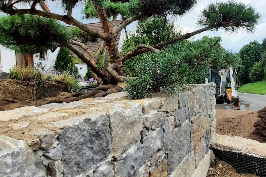Eine Steinmauer im Vordergrund, im Hintergrund ein großer Baum und eine Landschaft.